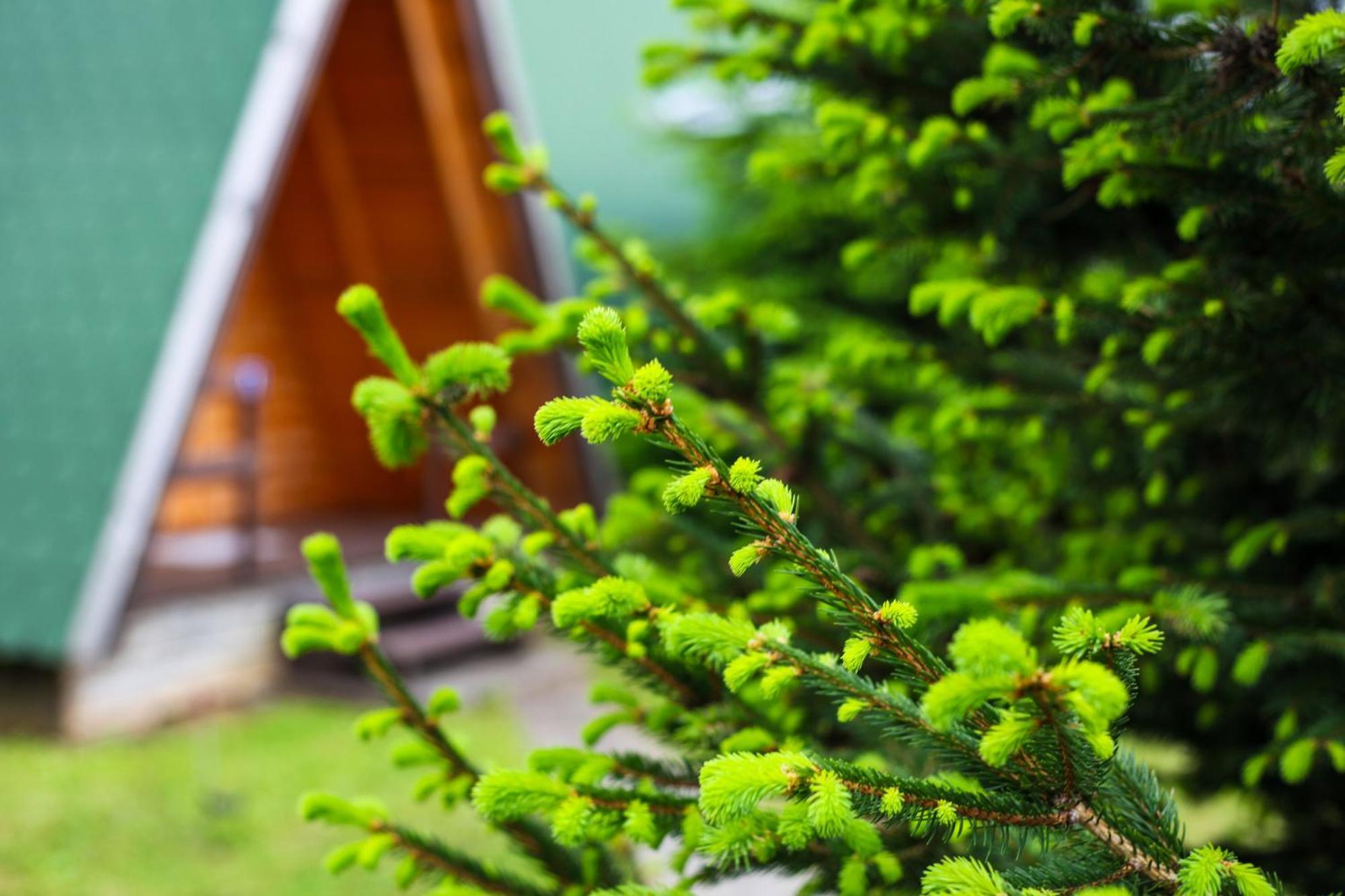 Rooms & Glamping Lana Haus Licko Petrovo Selo ภายนอก รูปภาพ